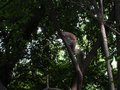 DSCN1149.jpg